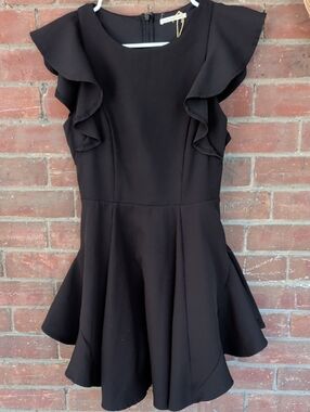 Mustard Seed Black Ruffle Sleeve Mini Dress